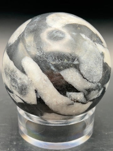 Pakistani Shell / Zebra Jasper Sphere