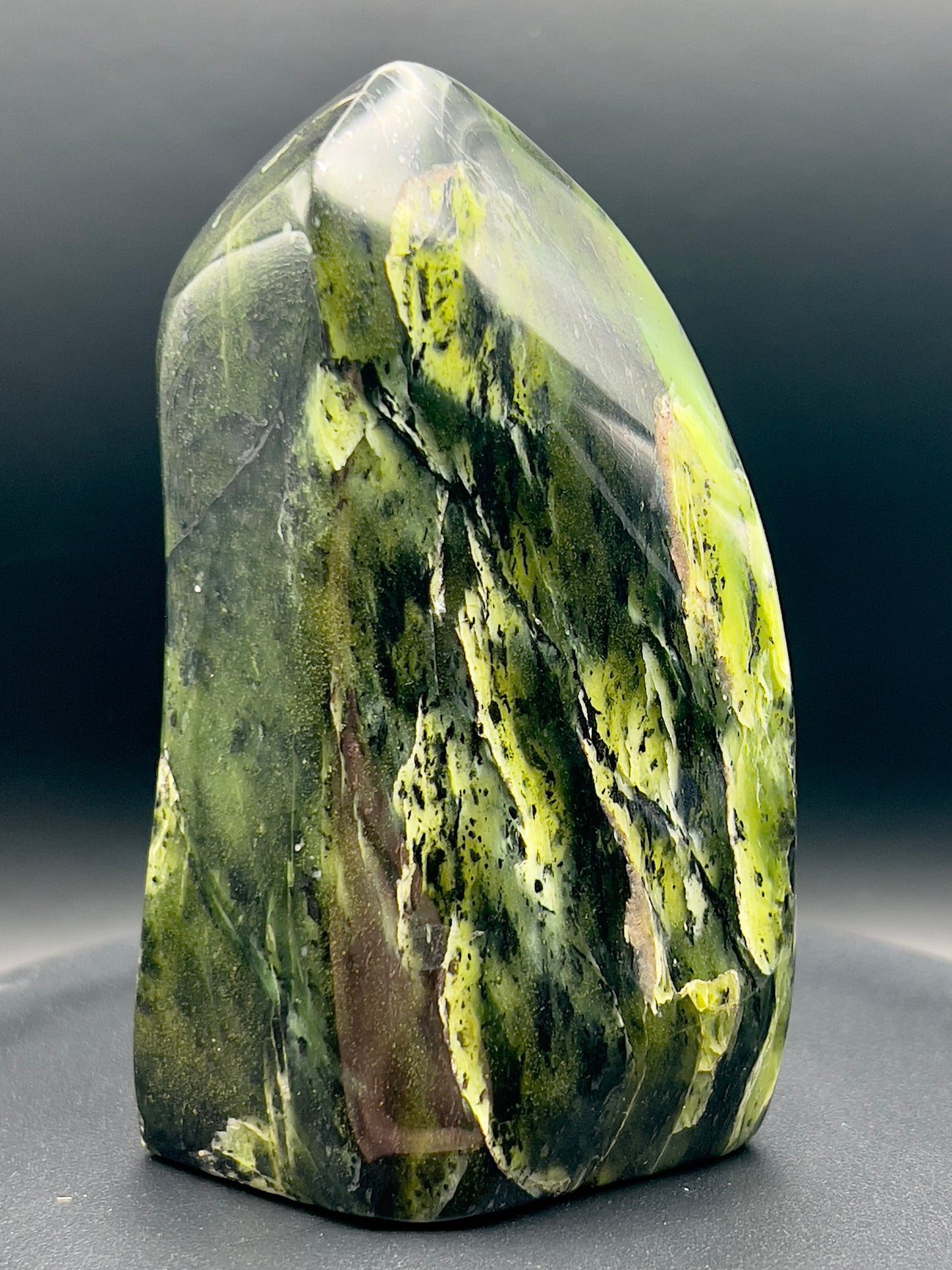Transparent Serpentine Freeform