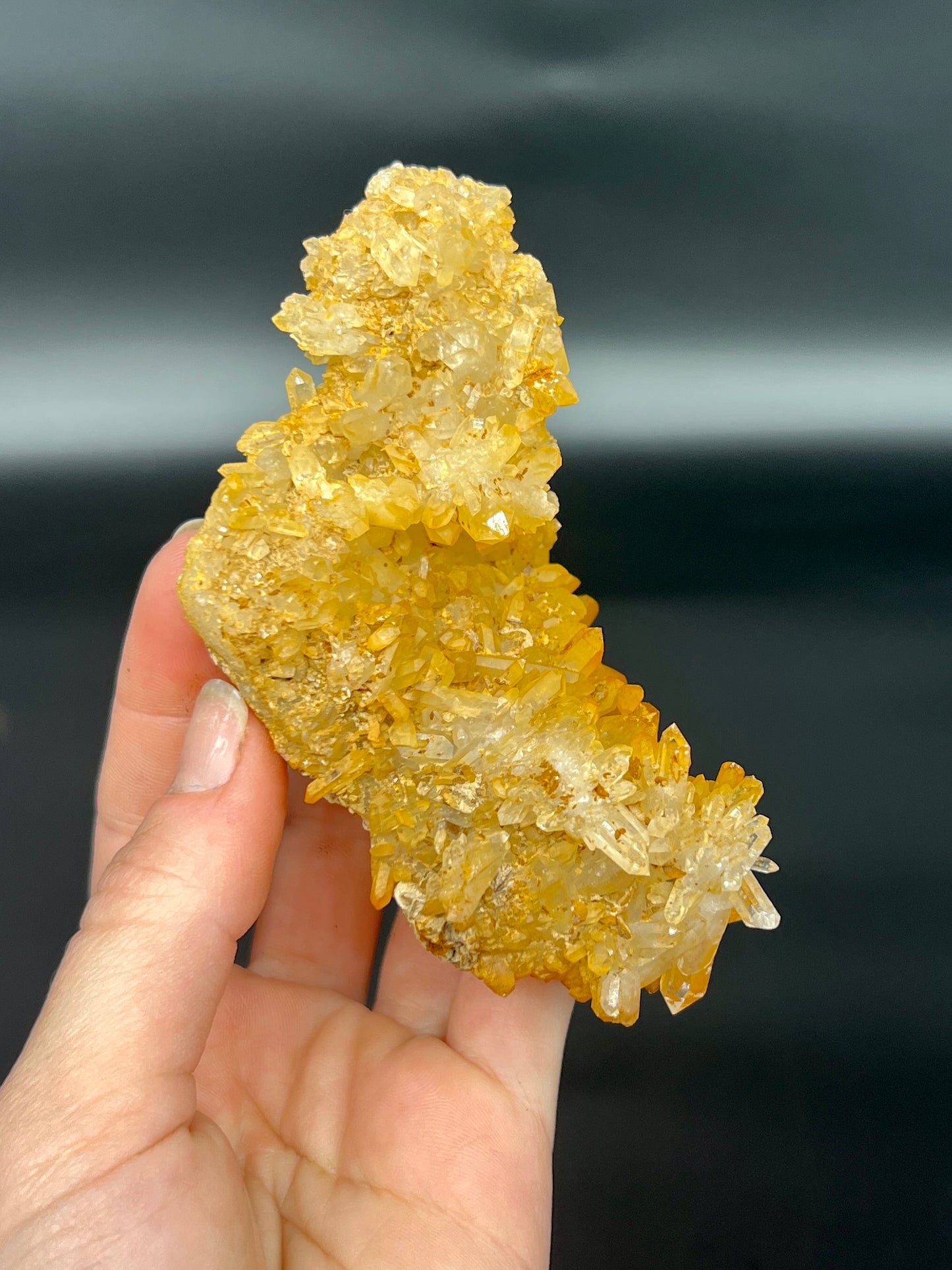 Golden Healer Specimen