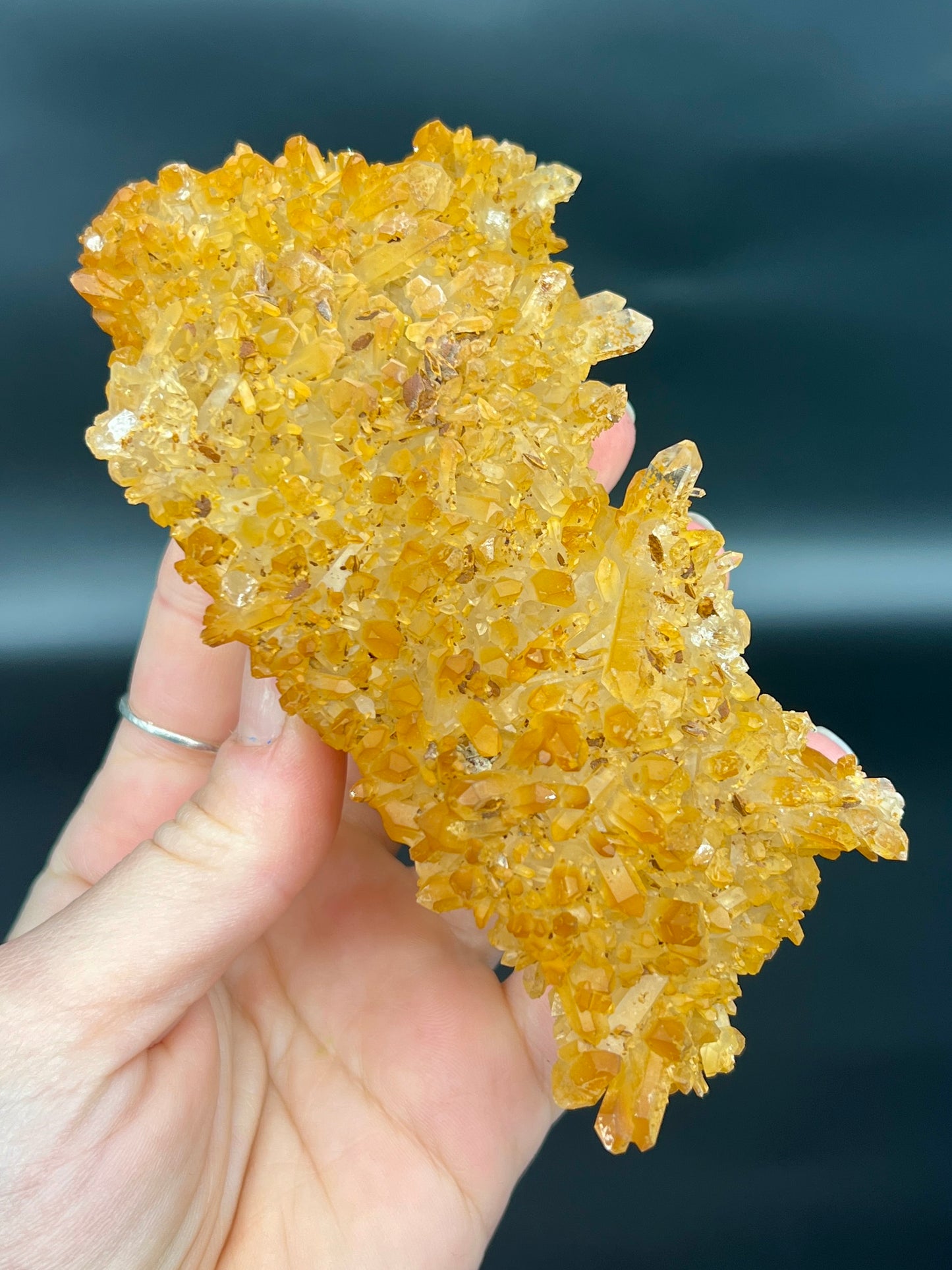 Golden Healer Specimen