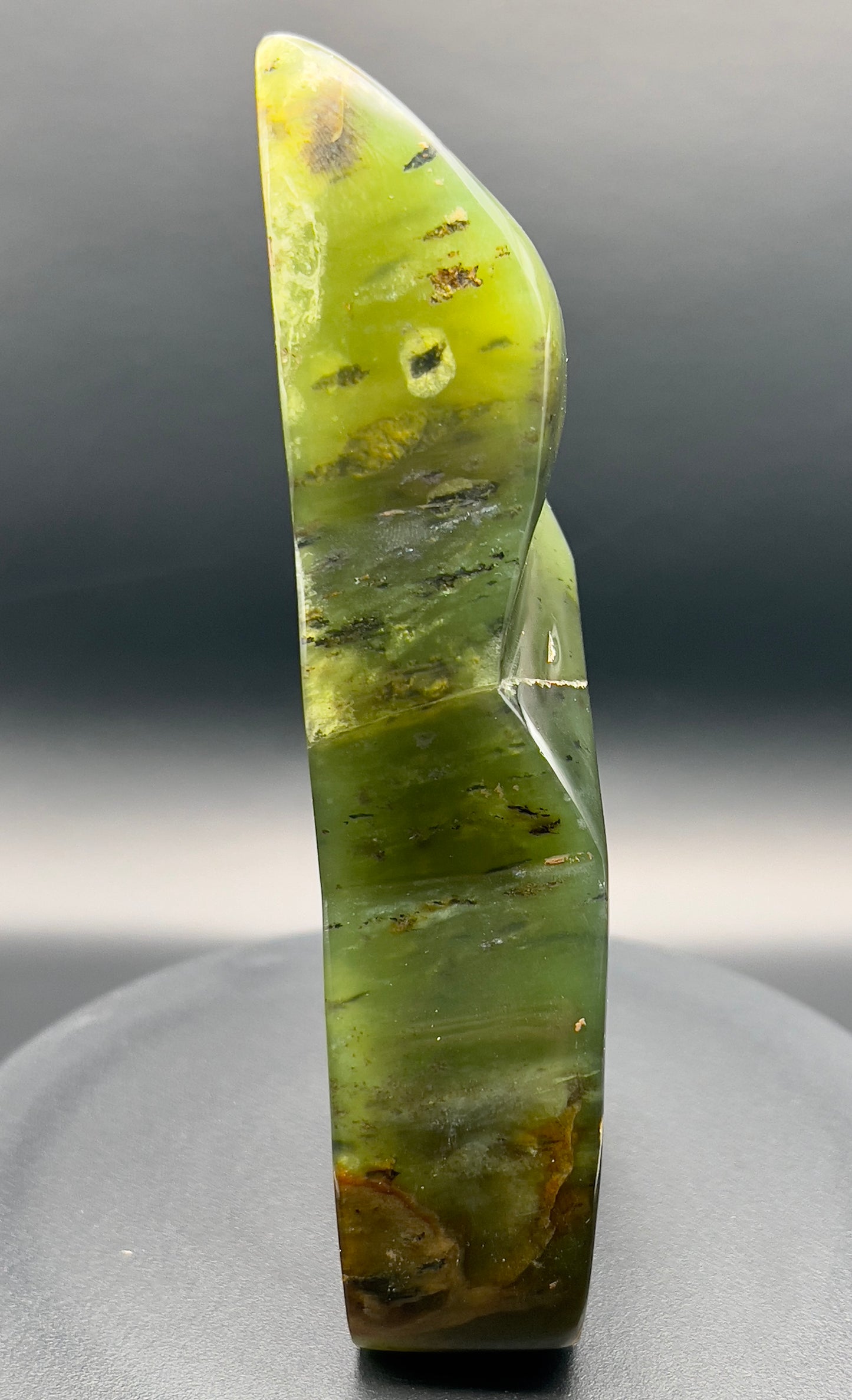 Transparent Serpentine Freeform