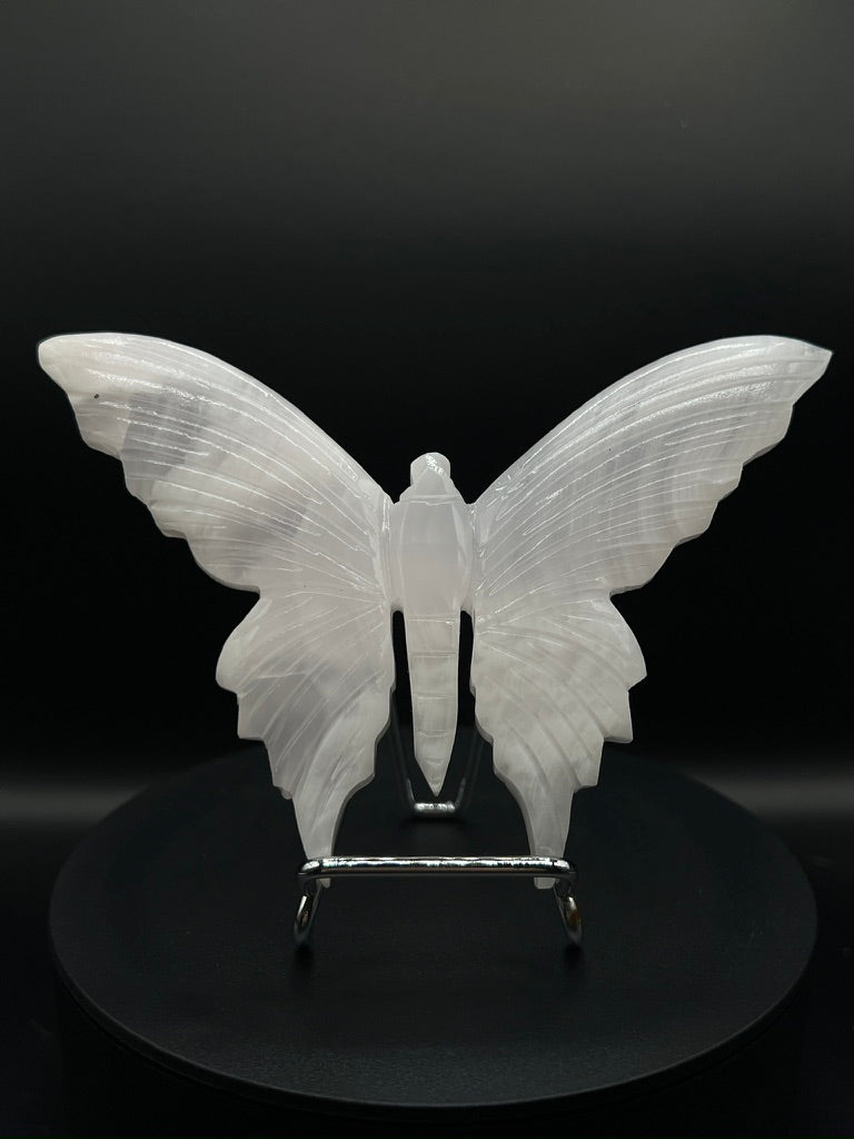 UV Reactive Pink Mangano Butterfly Carving