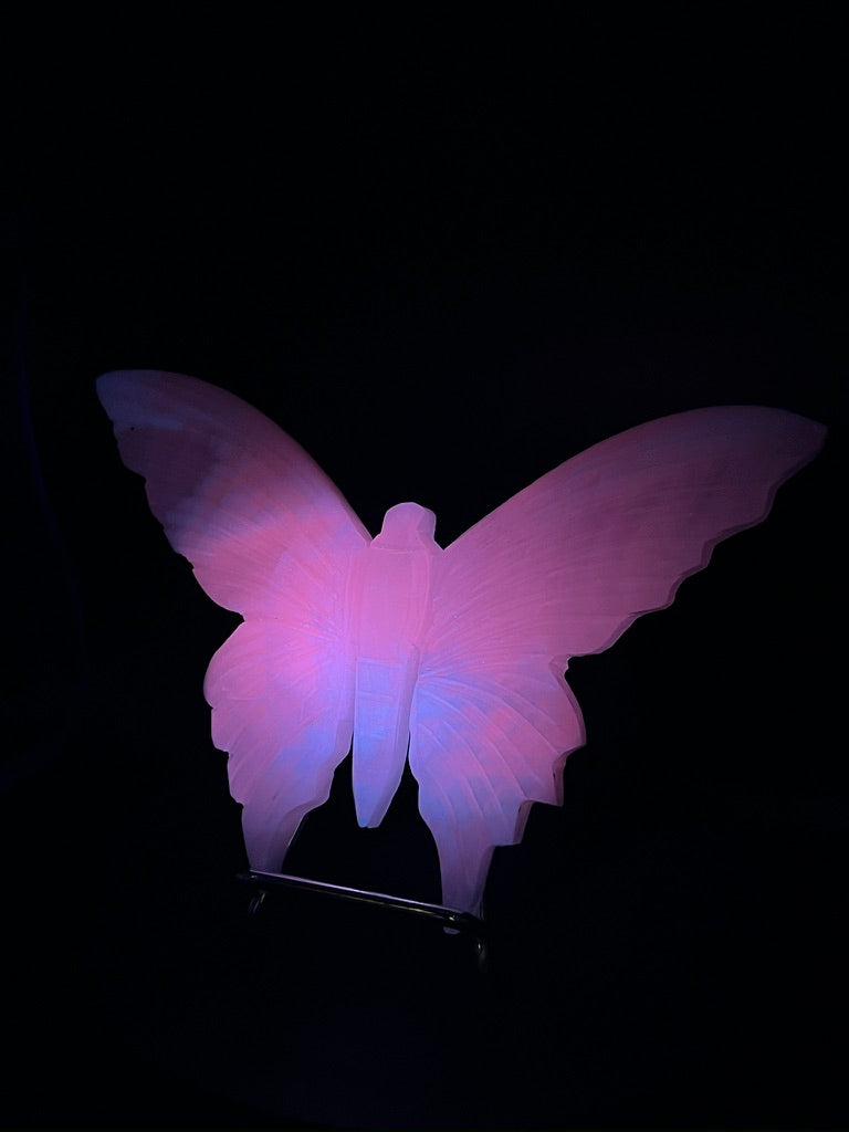 UV Reactive Pink Mangano Butterfly Carving