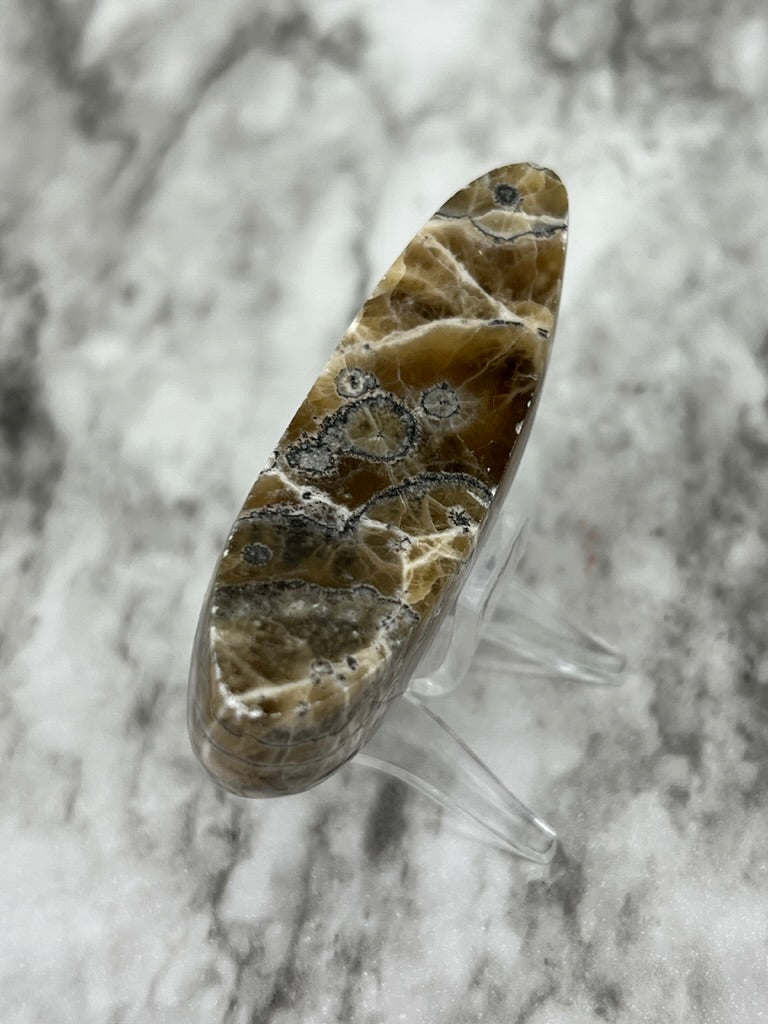 Brown Aragonite Moon