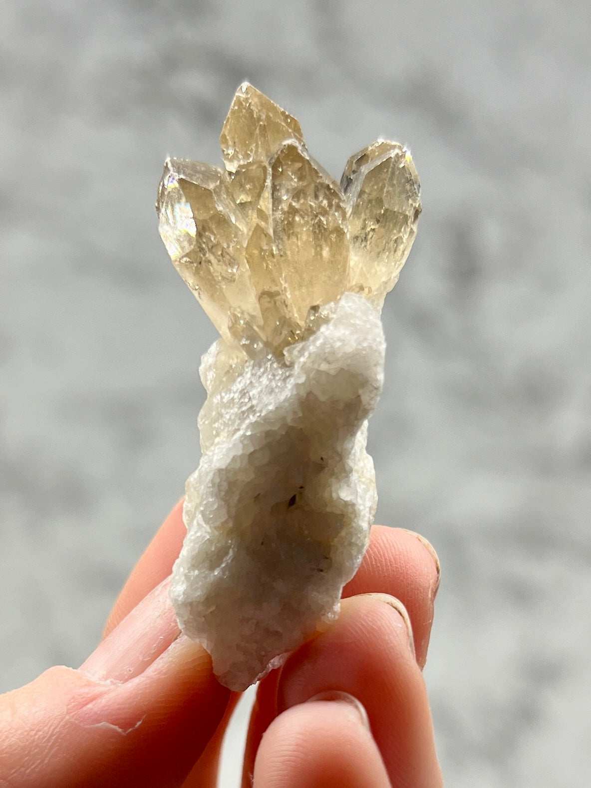 Citrine Cluster / Specimen