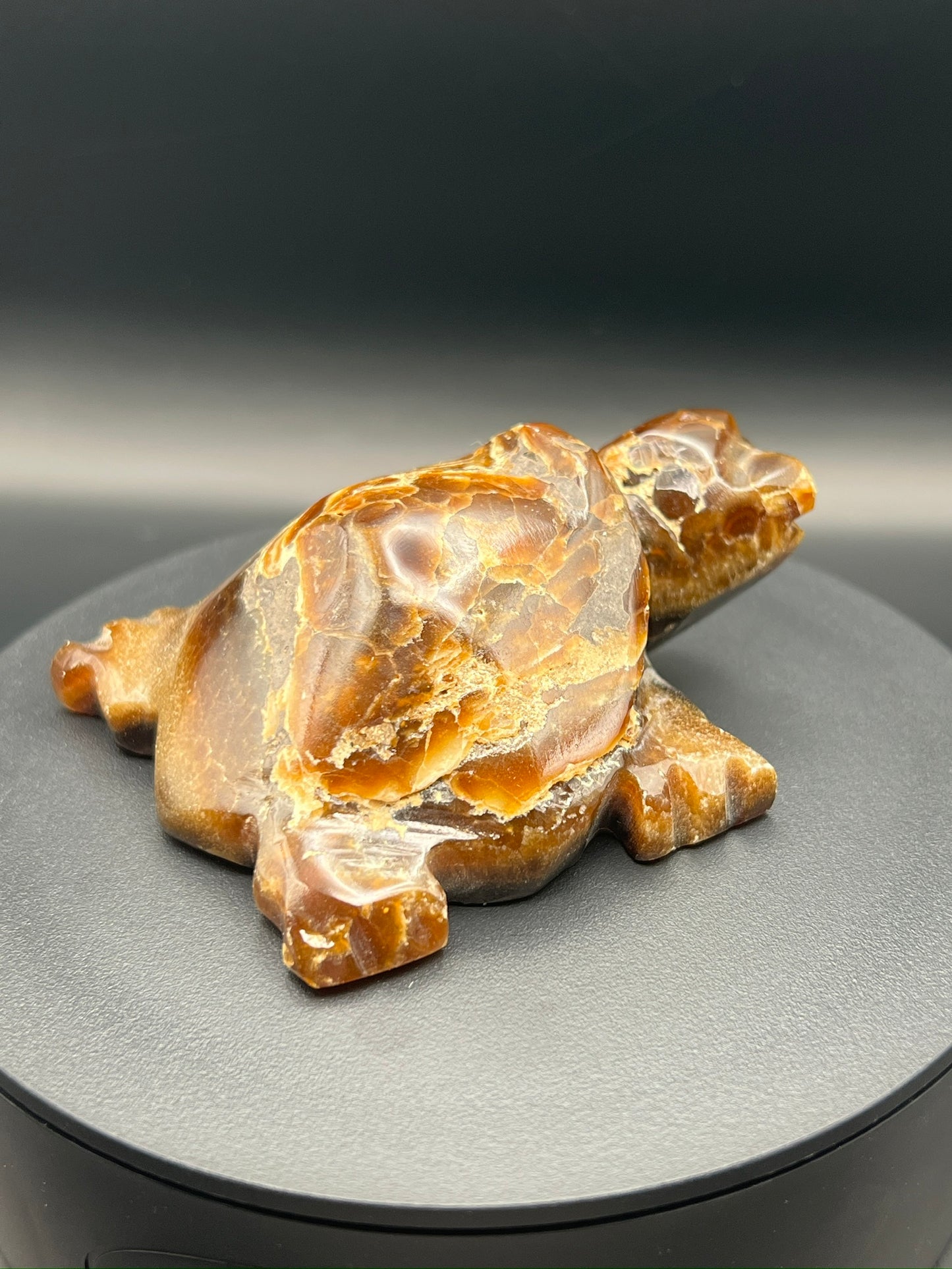Chocolate Calcite Turtle Carving