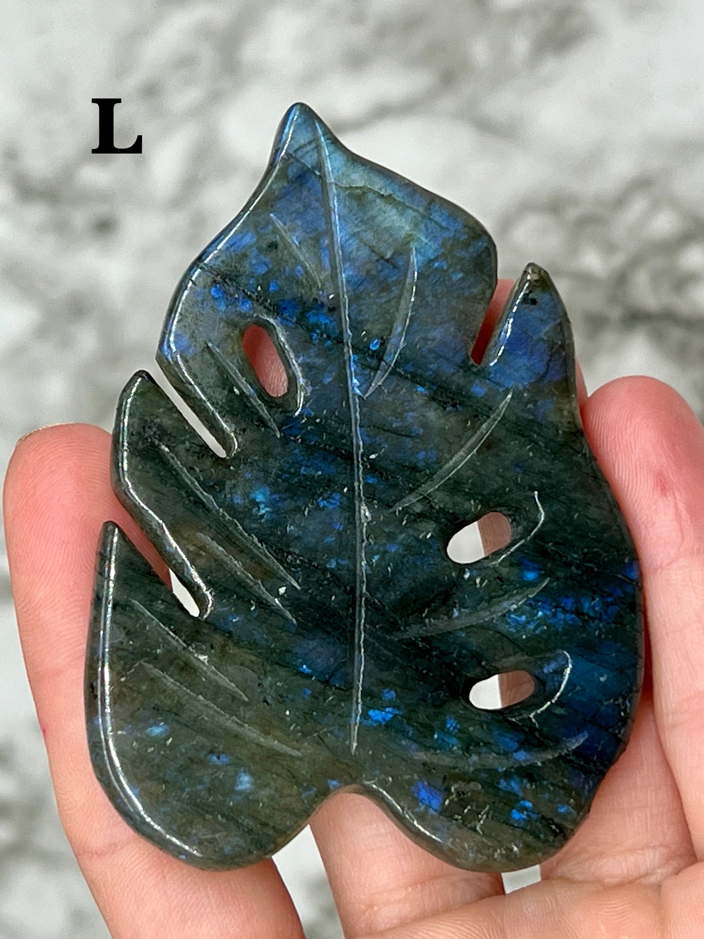 Labradorite Monstera Leaf Carving