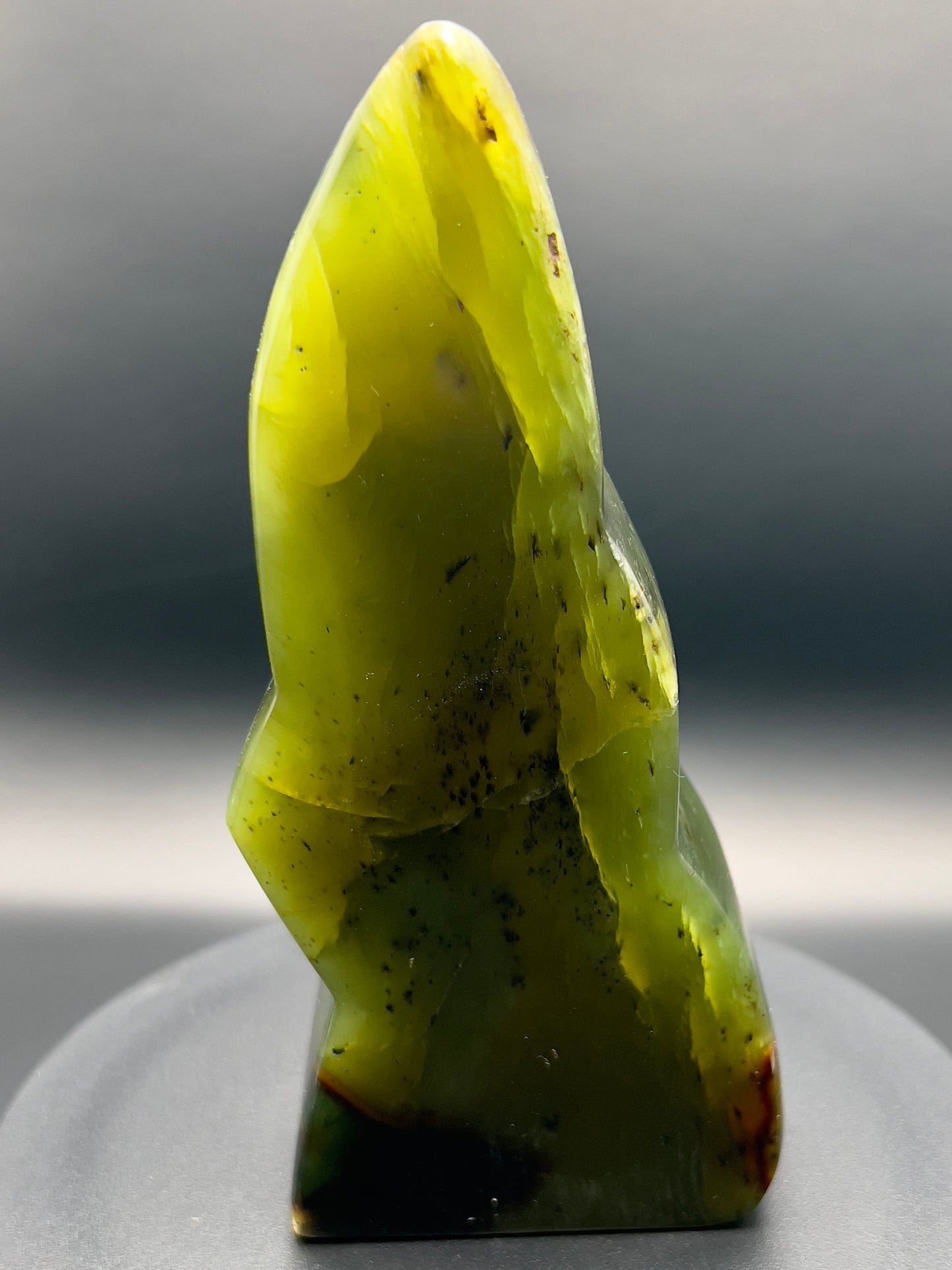 Transparent Serpentine Freeform