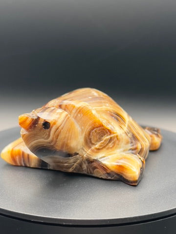 Chocolate Calcite Turtle Carving