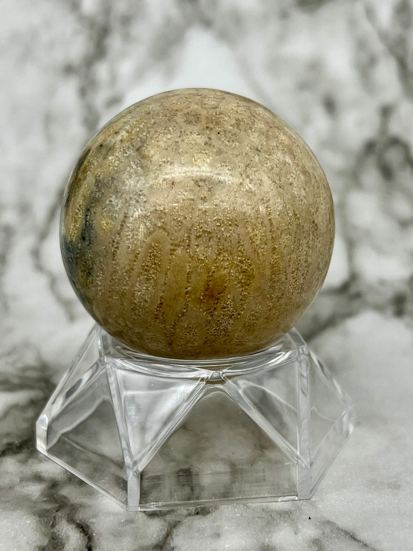 Fossilized Coral, Fossil Coral Sphere