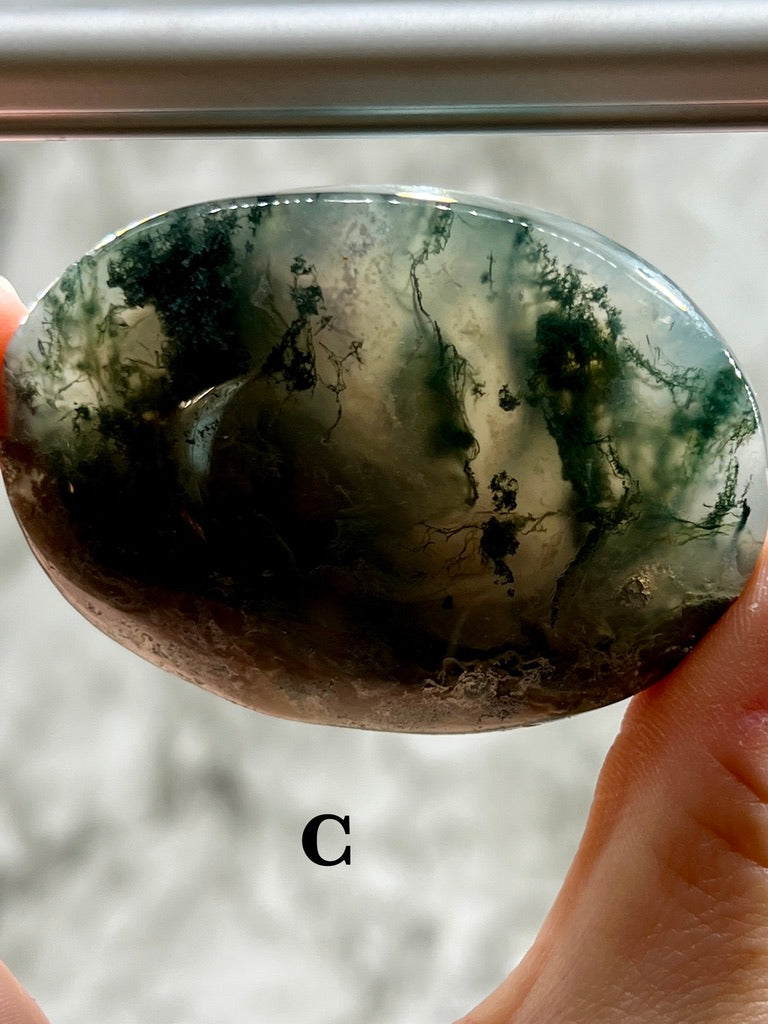 Moss Agate Palm Stone