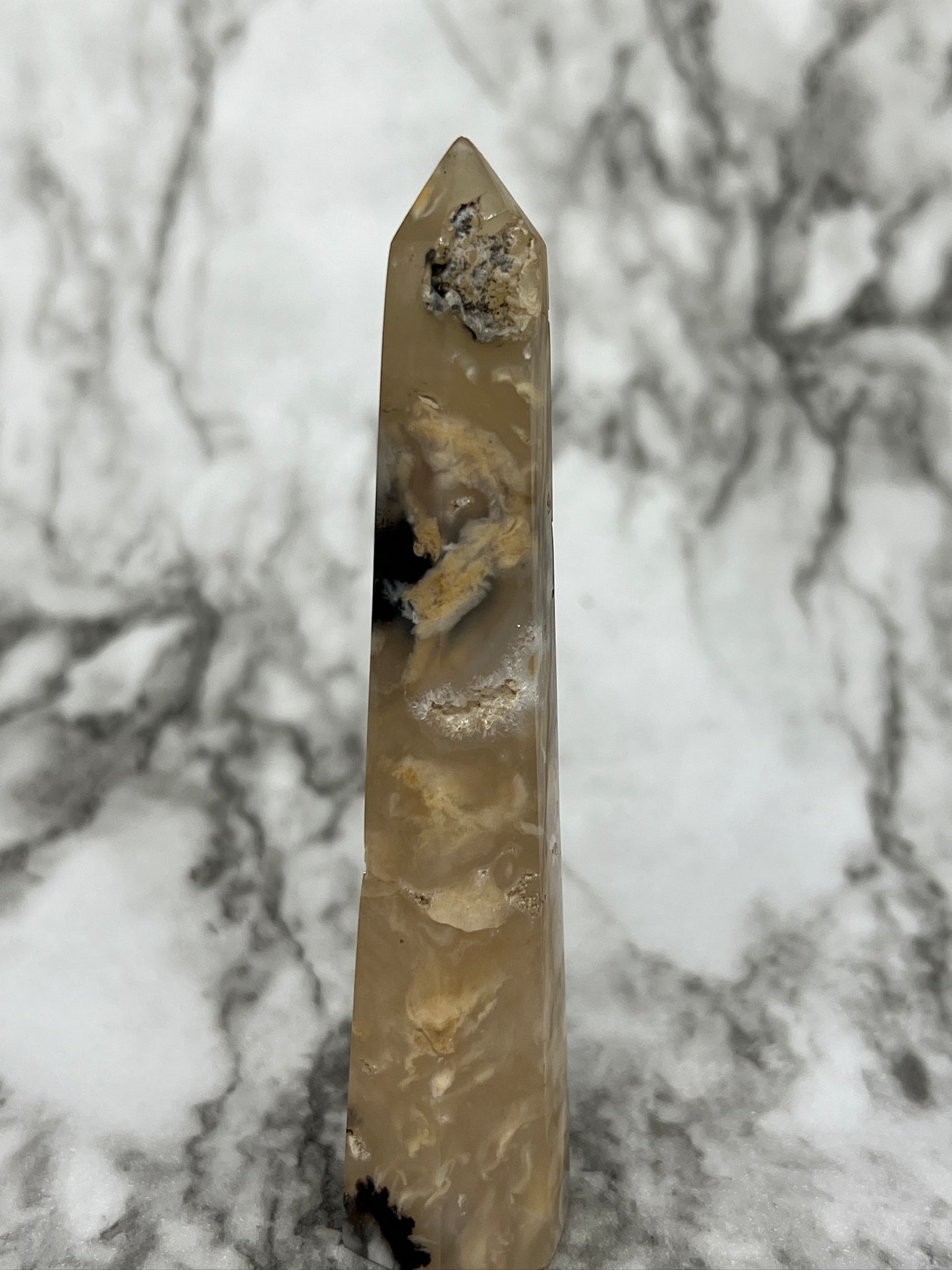 Dendritic Agate Point