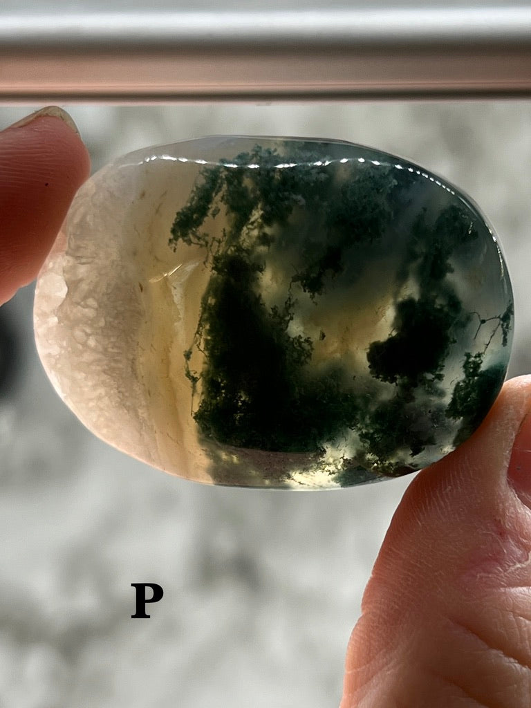 Moss Agate Palm Stone