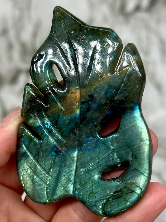 Labradorite Monstera Leaf Carving