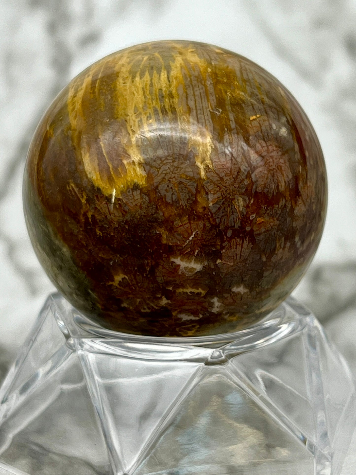 Fossilized Coral, Fossil Coral Sphere