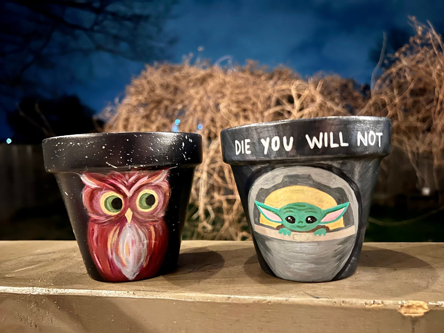 Baby Yoda Hand-painted Pot