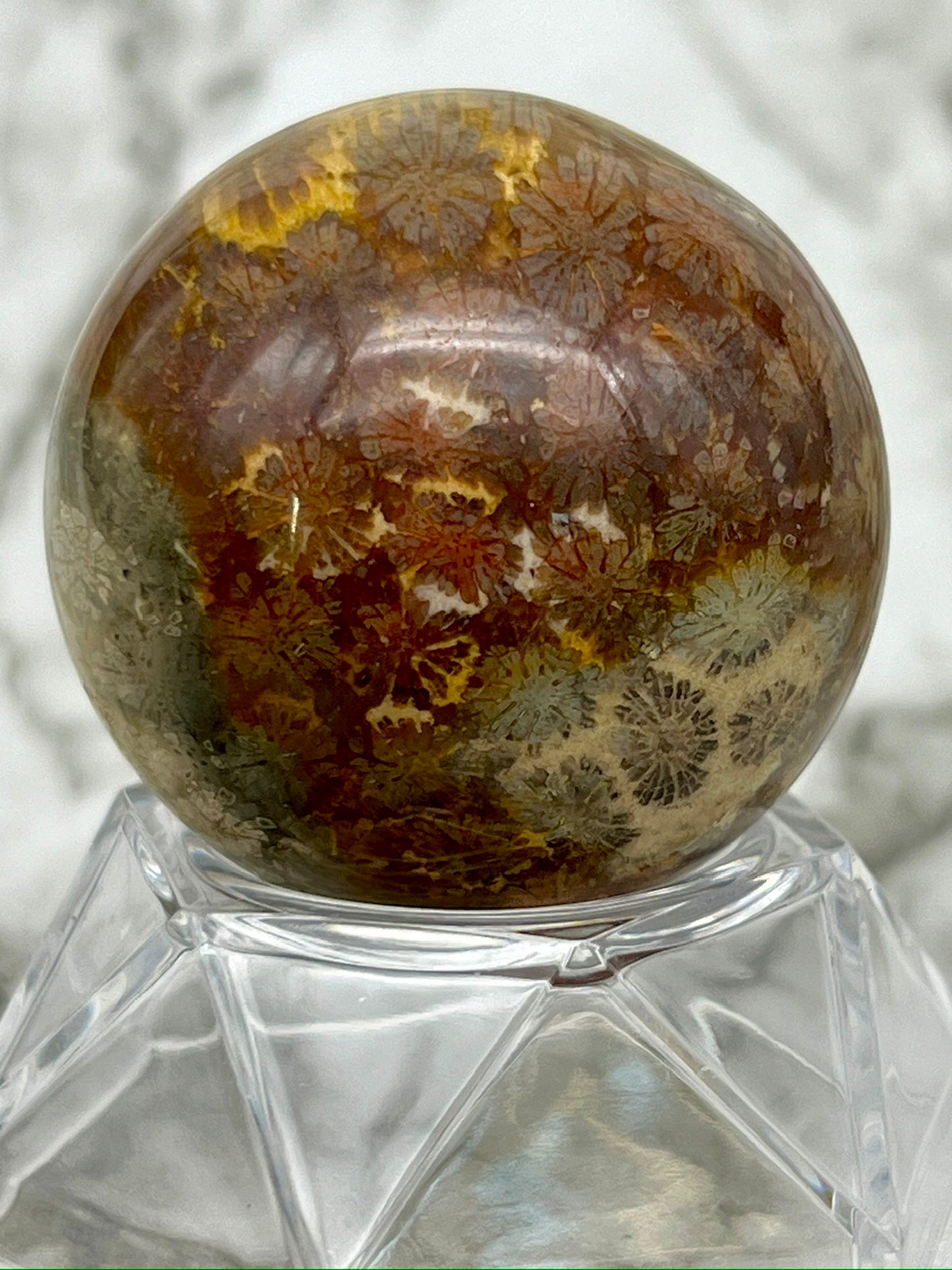 Fossilized Coral, Fossil Coral Sphere