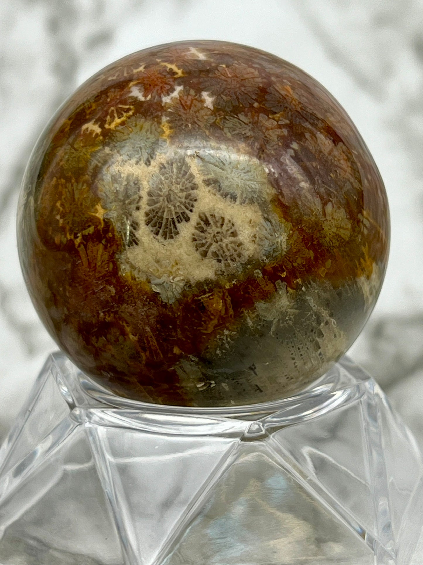 Fossilized Coral, Fossil Coral Sphere