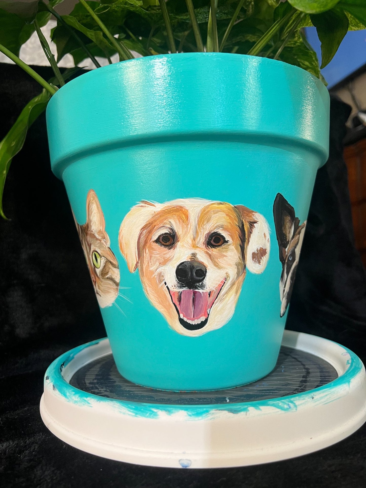 Custom Pet Portrait Hand-Painted Pot