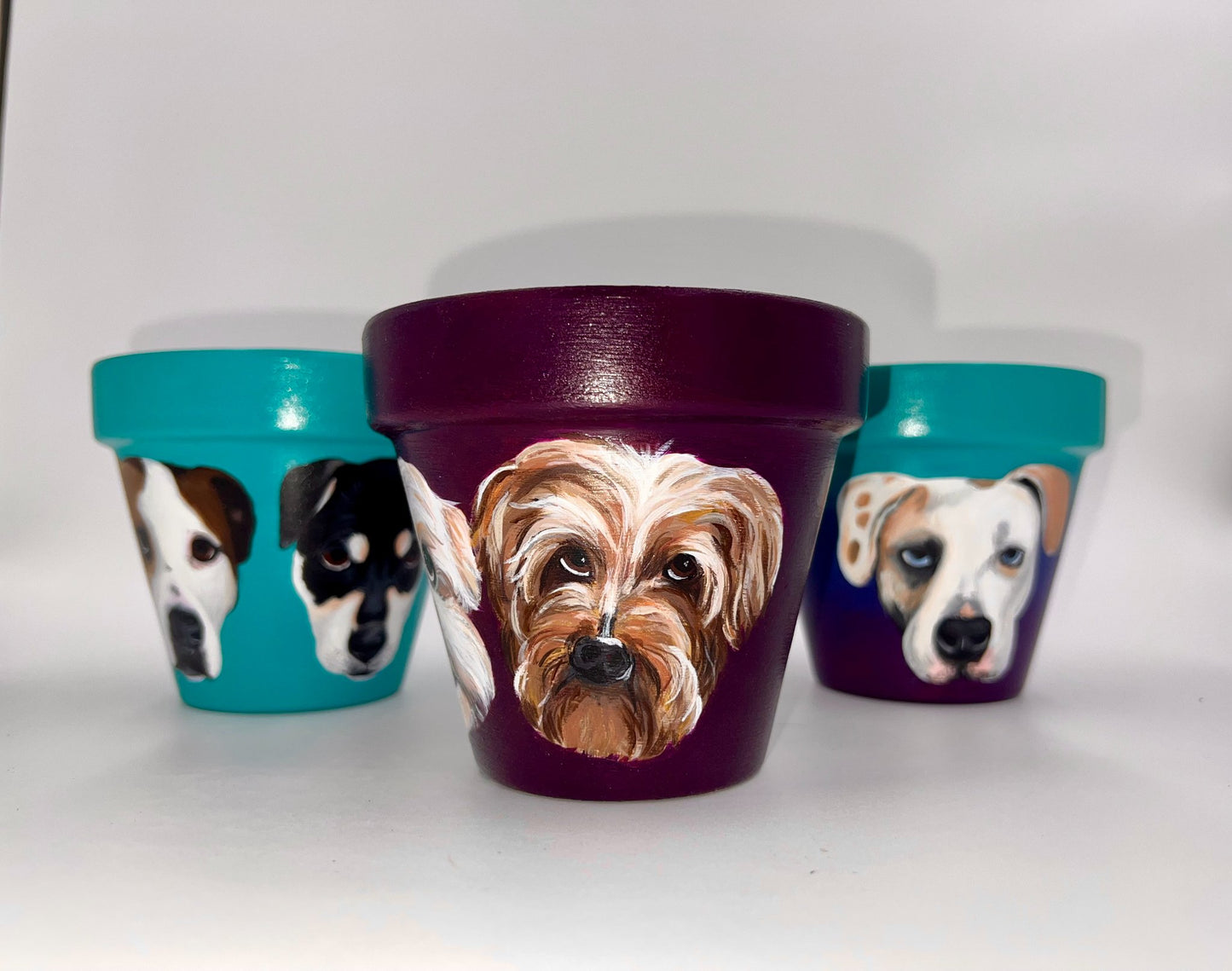 Custom Pet Portrait Hand-Painted Pot