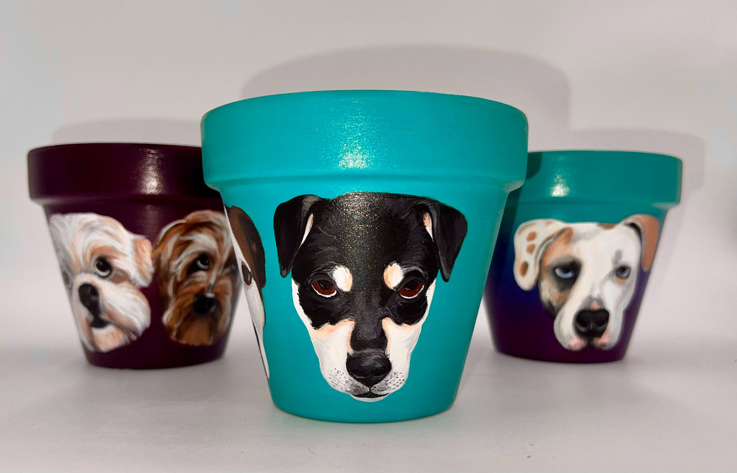 Custom Pet Portrait Hand-Painted Pot