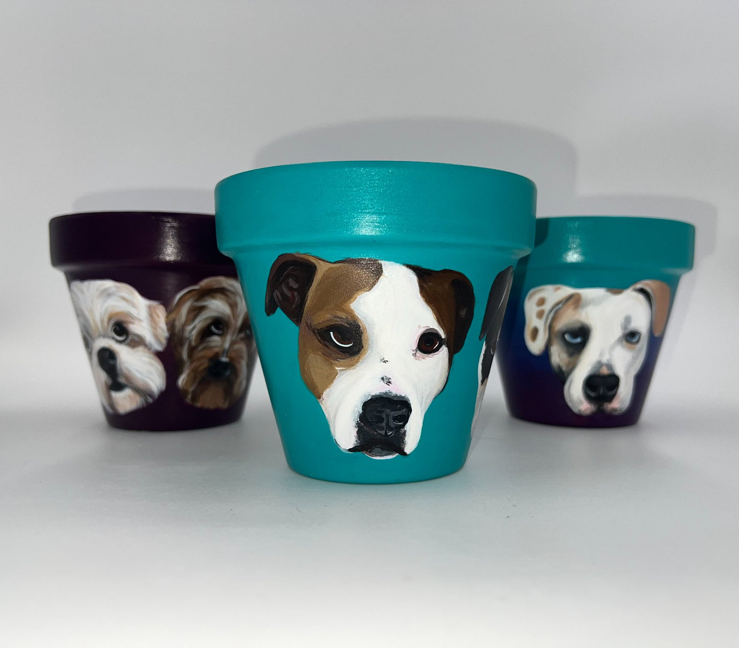 Custom Pet Portrait Hand-Painted Pot