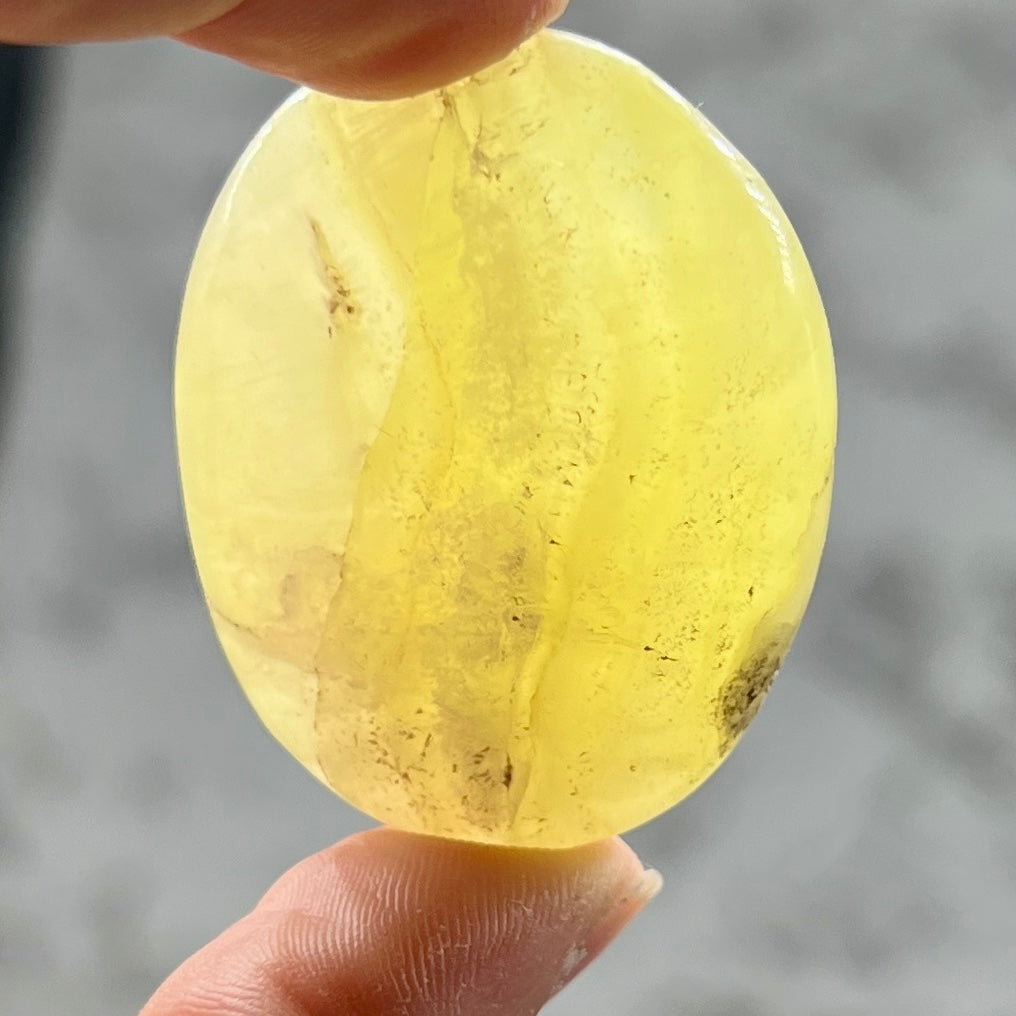 Brucite Palm Stone