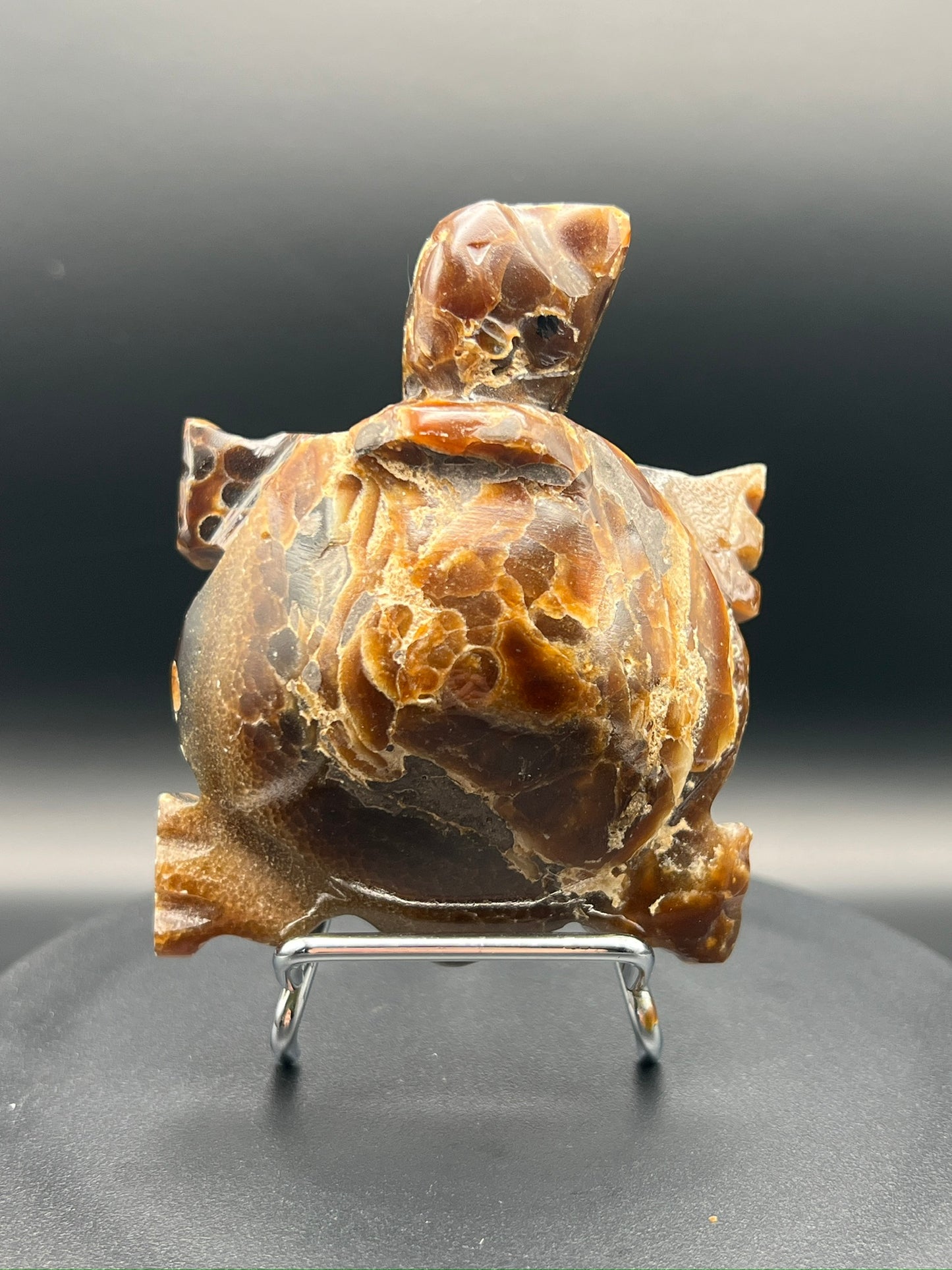 Chocolate Calcite Turtle Carving