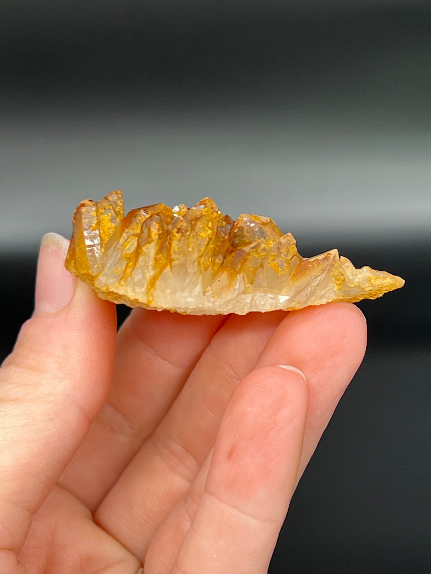 Golden Healer Specimen