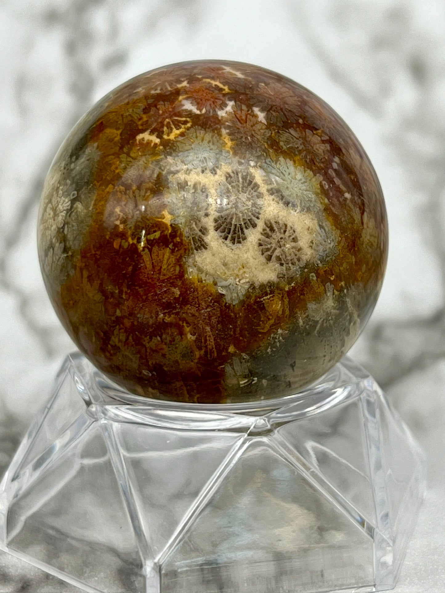 Fossilized Coral, Fossil Coral Sphere