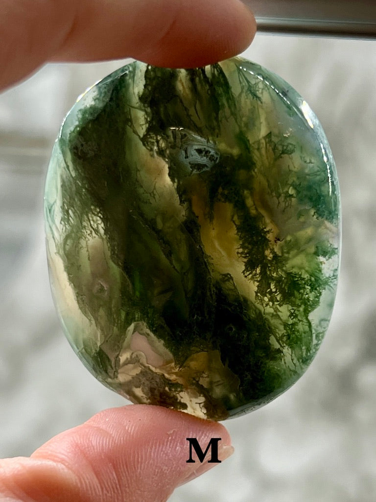 Moss Agate Palm Stone