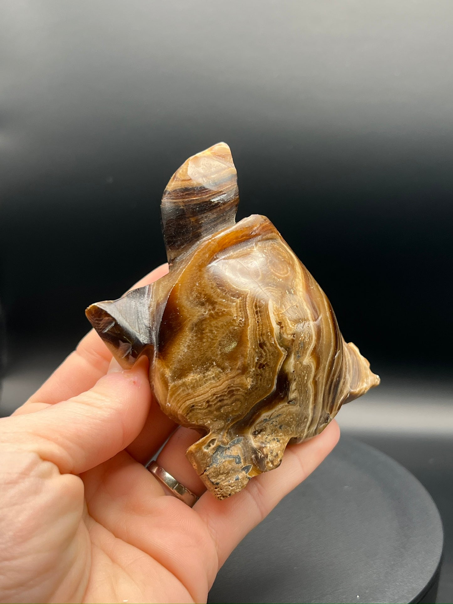 Chocolate Calcite Turtle Carving
