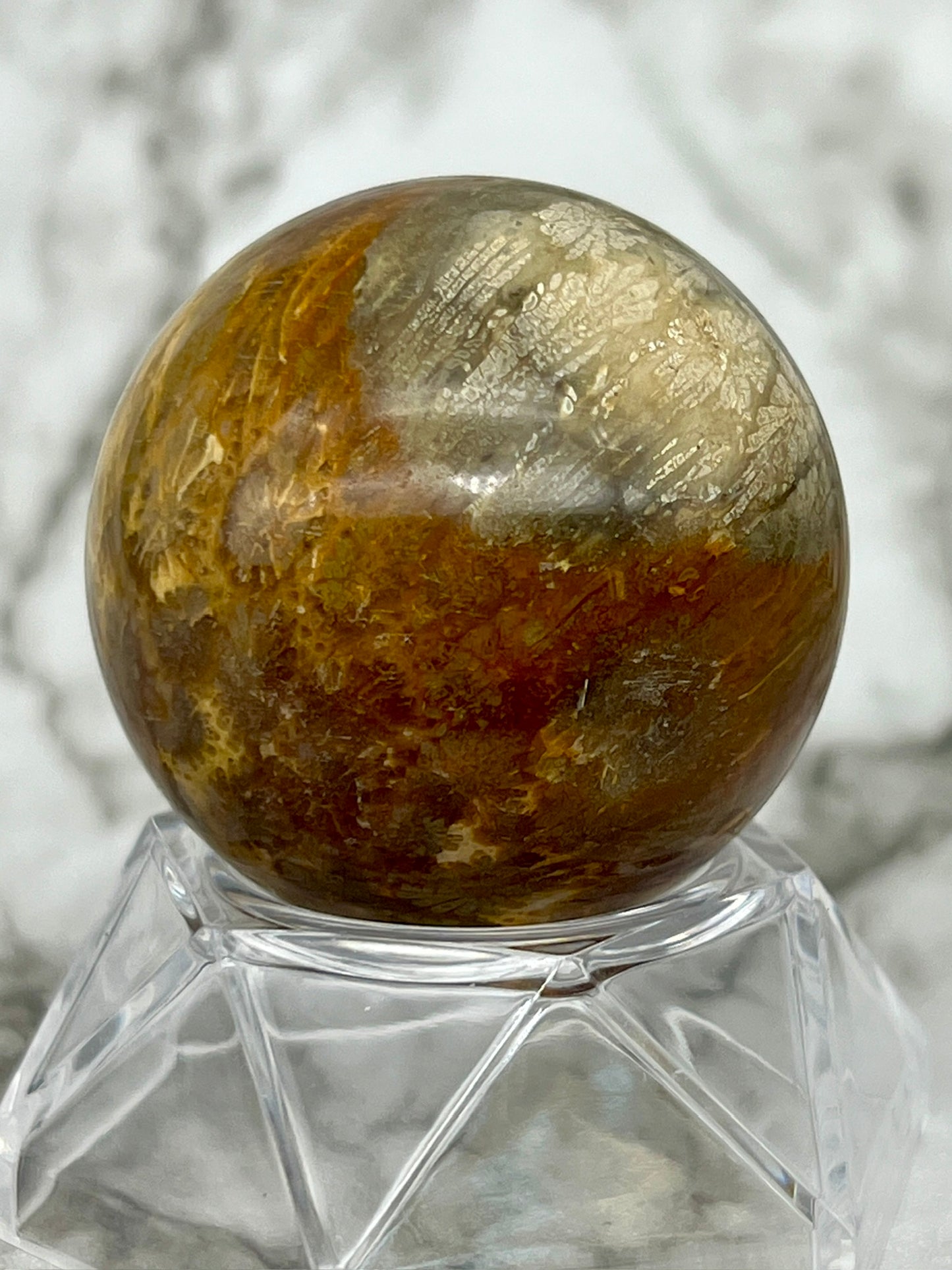 Fossilized Coral, Fossil Coral Sphere