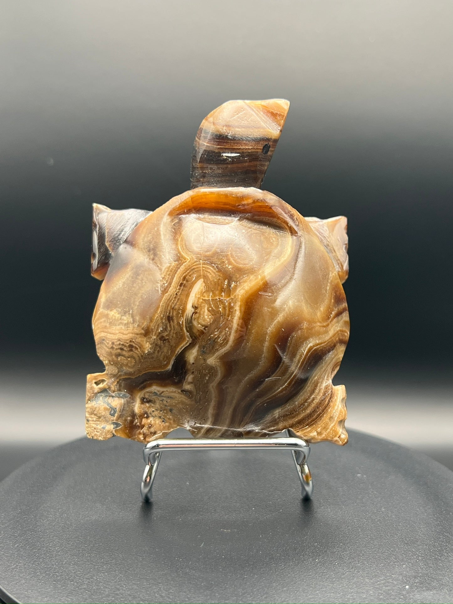 Chocolate Calcite Turtle Carving