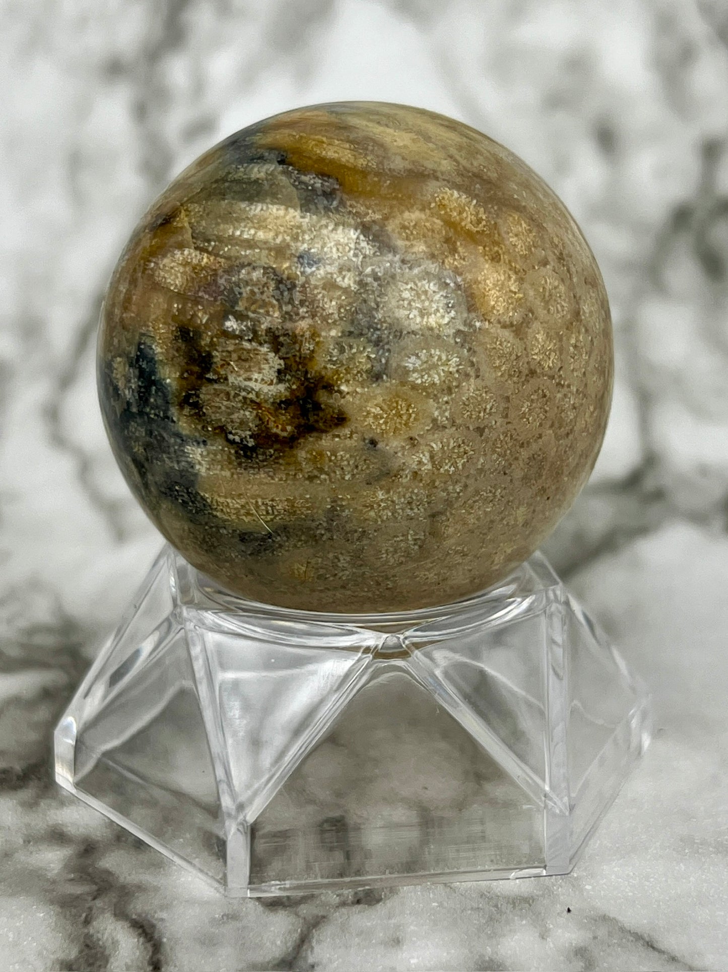 Fossilized Coral, Fossil Coral Sphere