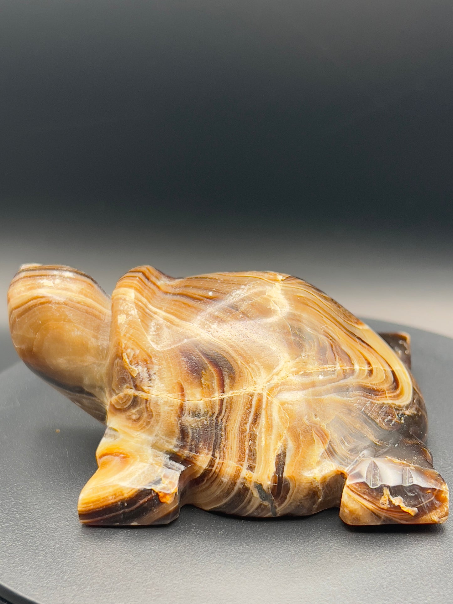 Chocolate Calcite Turtle Carving
