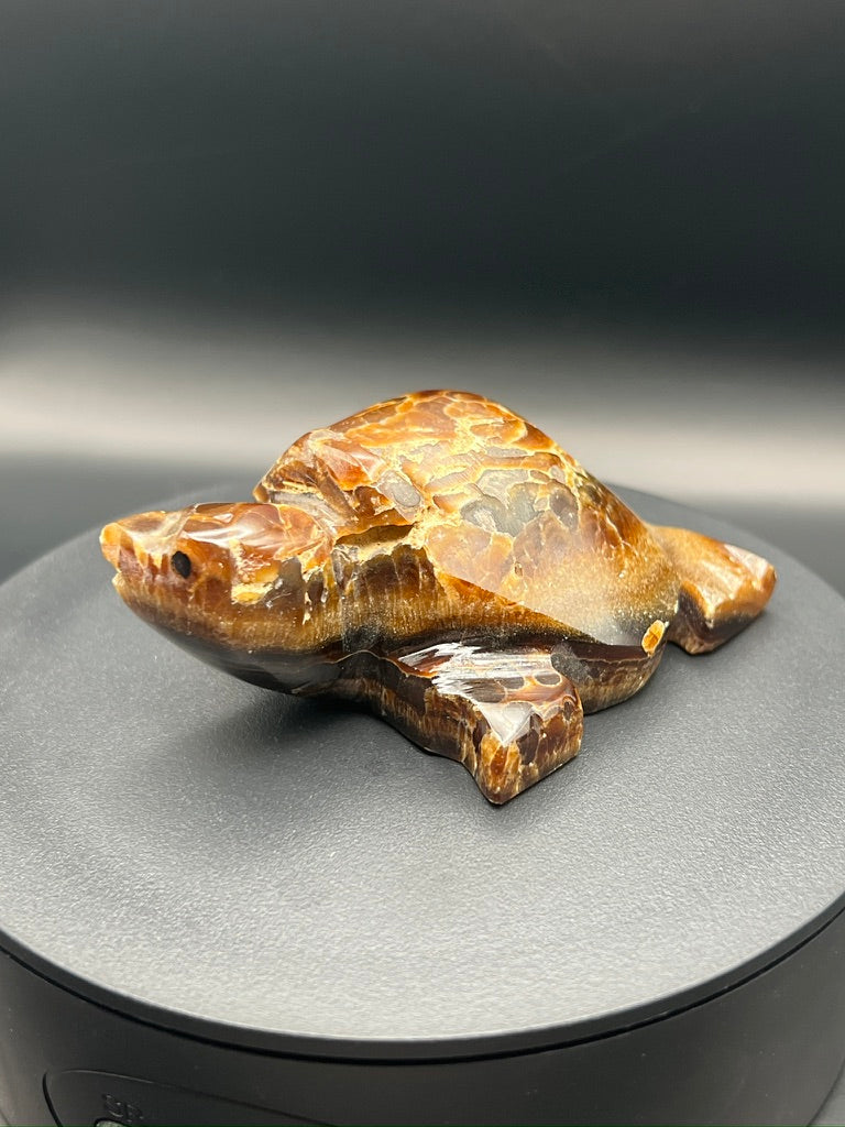 Chocolate Calcite Turtle Carving