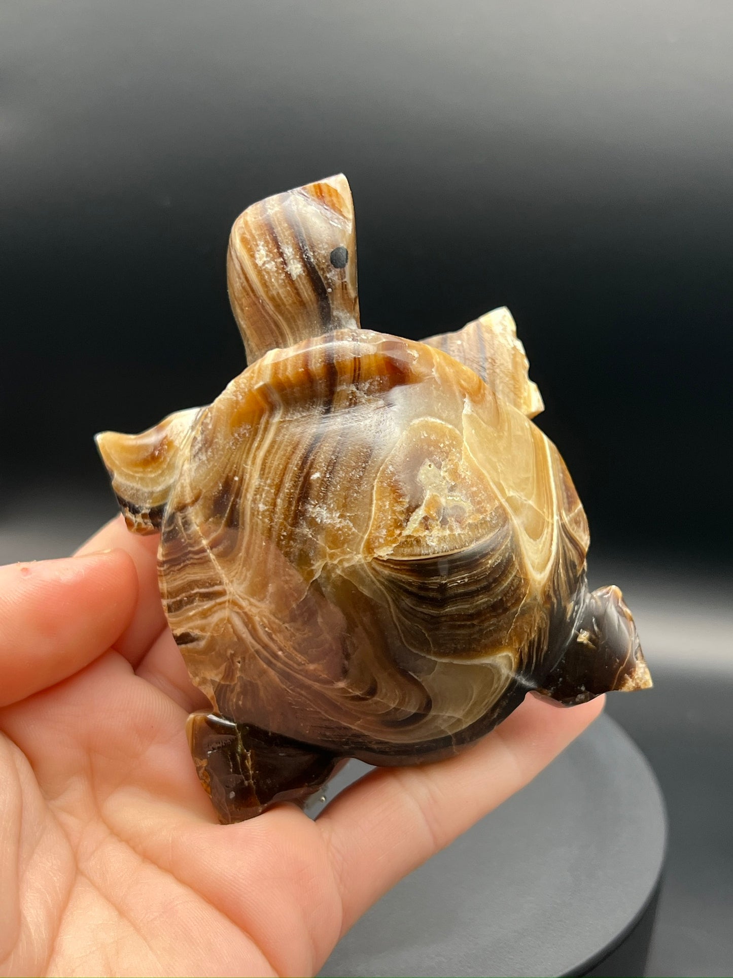 Chocolate Calcite Turtle Carving