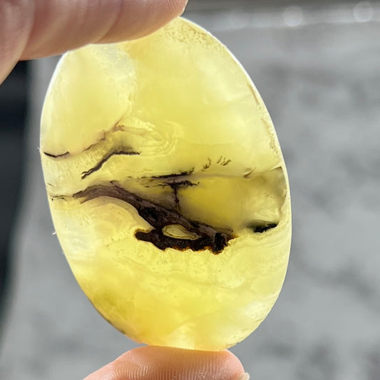 Brucite Palm Stone