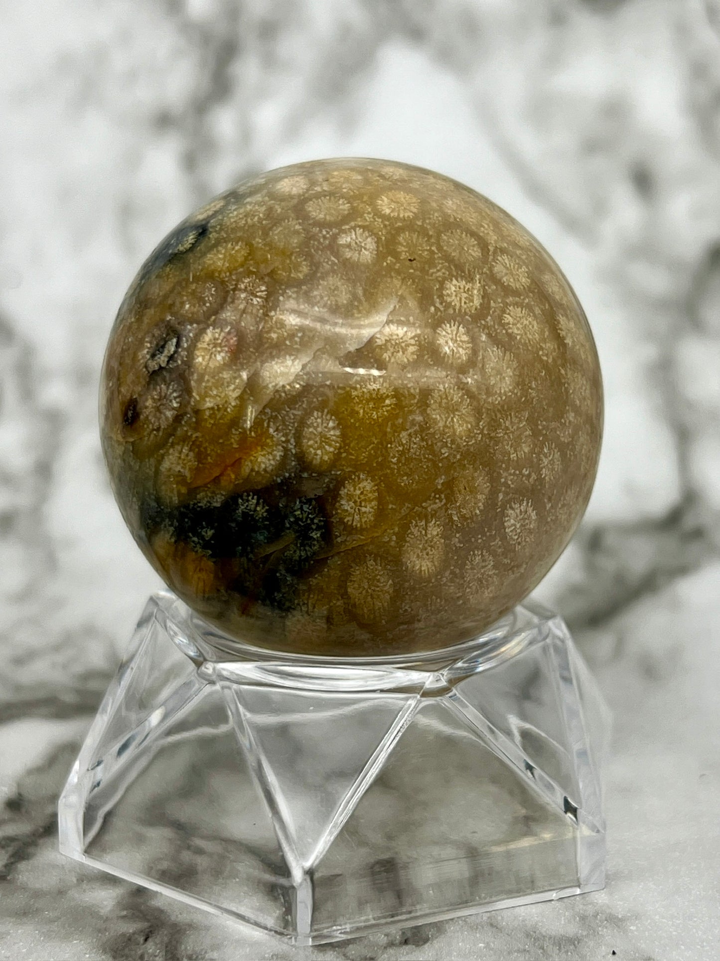 Fossilized Coral, Fossil Coral Sphere