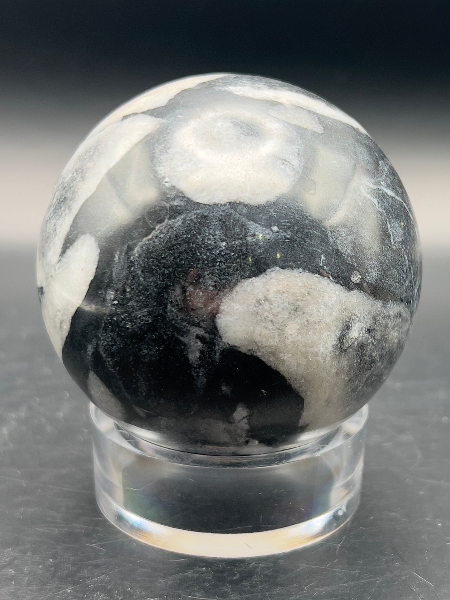 Pakistani Shell / Zebra Jasper Sphere