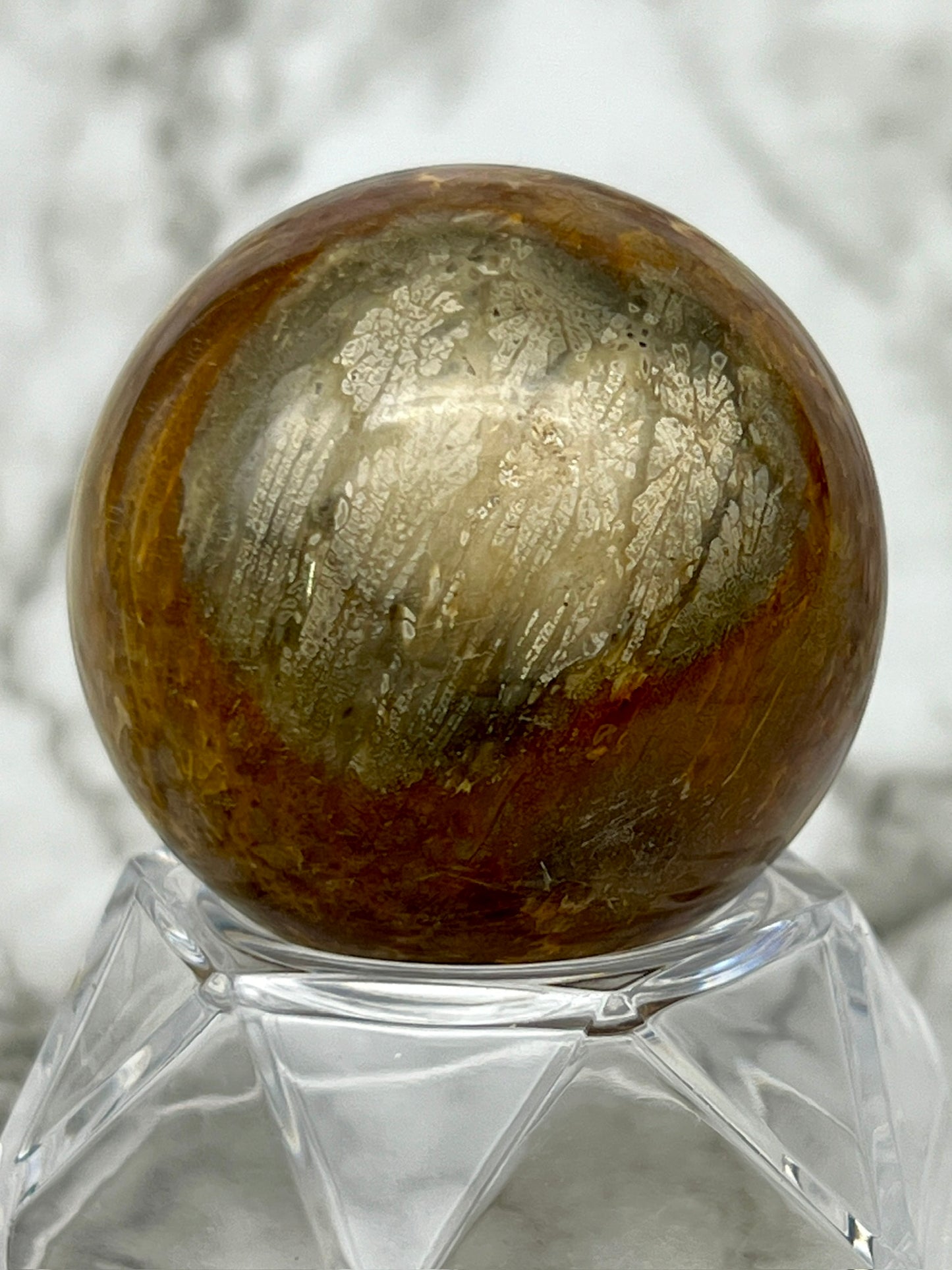 Fossilized Coral, Fossil Coral Sphere