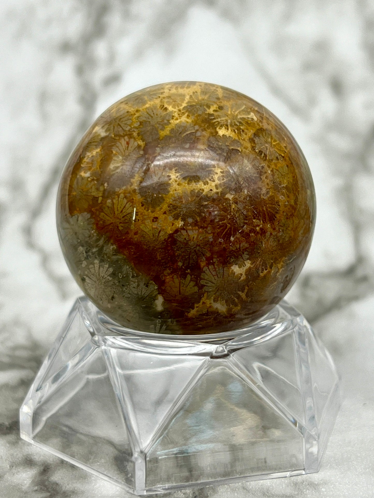 Fossilized Coral, Fossil Coral Sphere