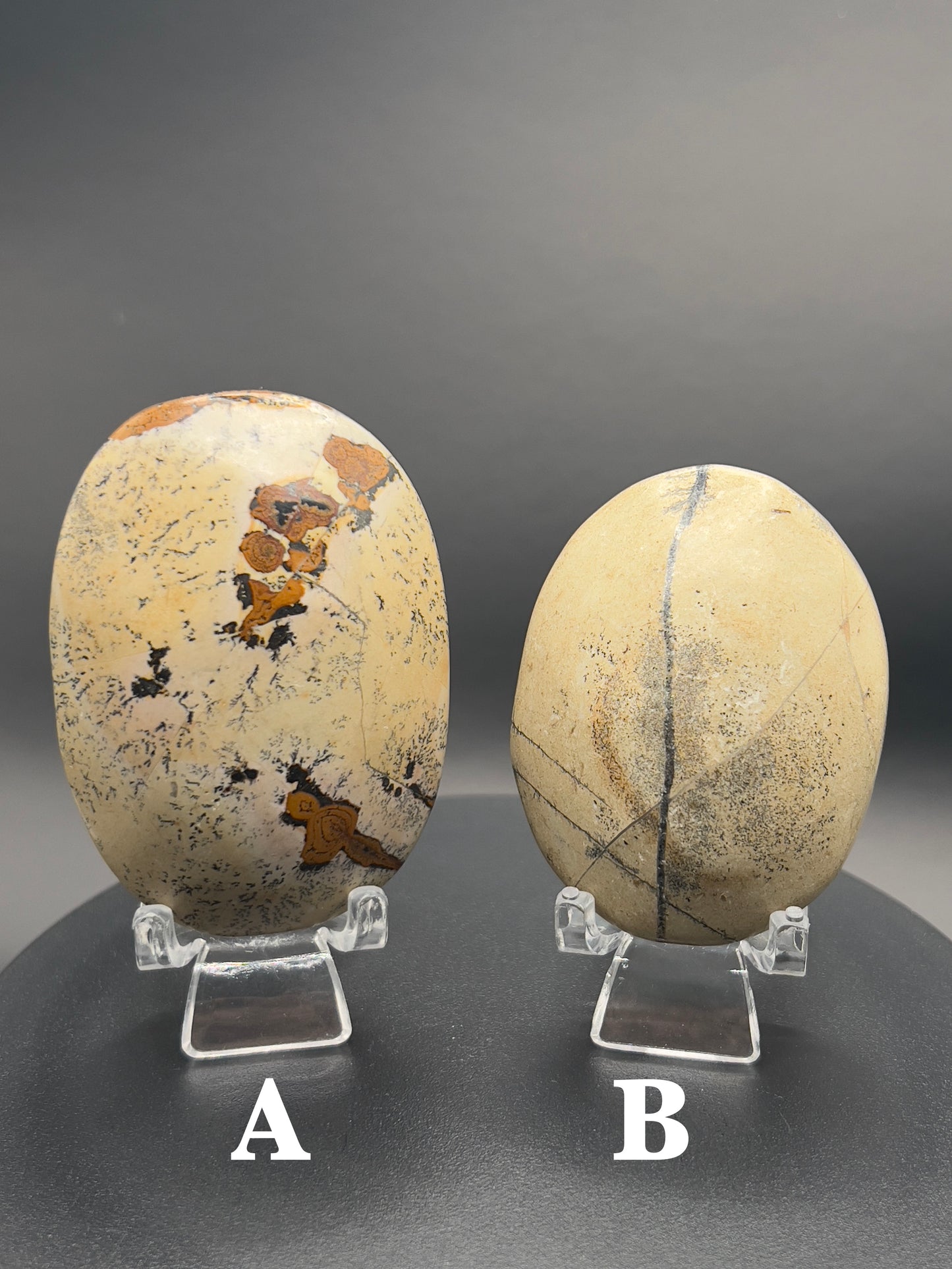 Picture Jasper Palm Stone