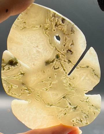 Moss Agate Monstera Leaf Carving