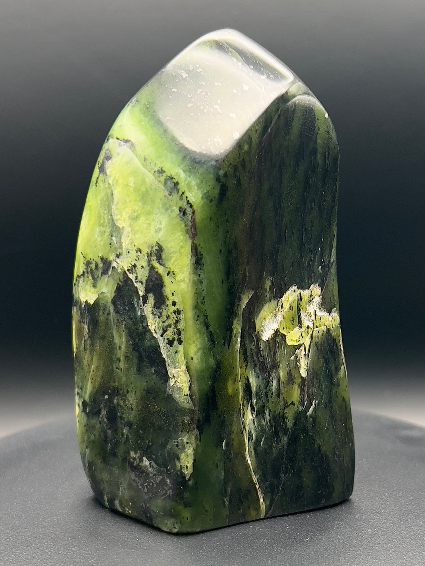 Transparent Serpentine Freeform