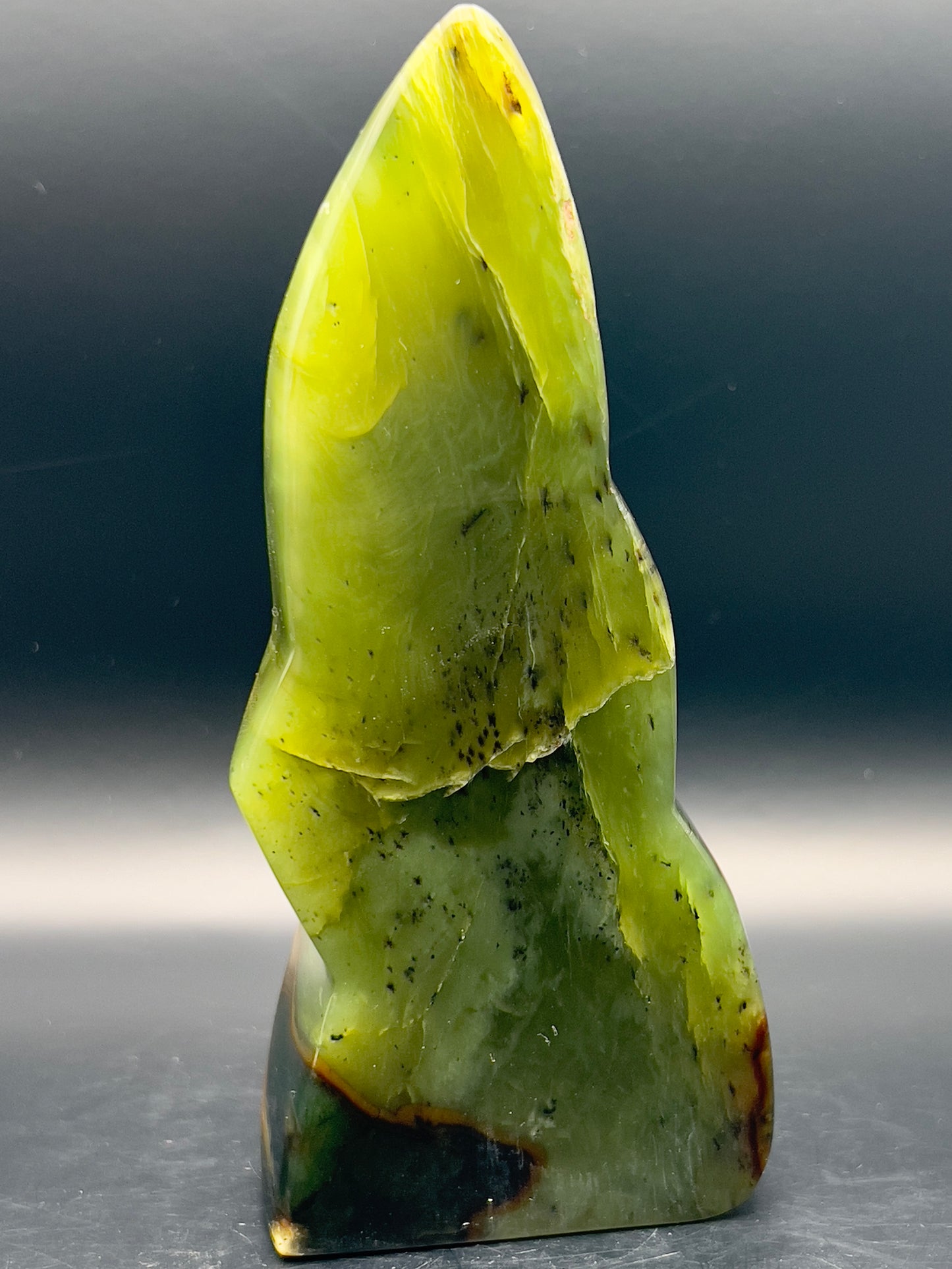 Transparent Serpentine Freeform