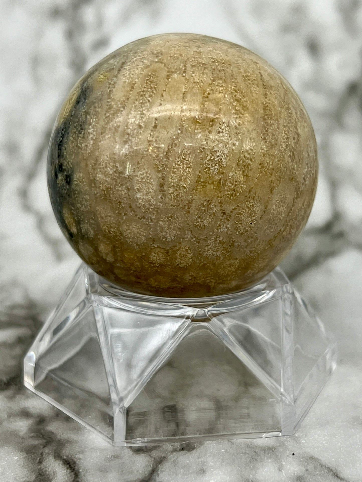 Fossilized Coral, Fossil Coral Sphere