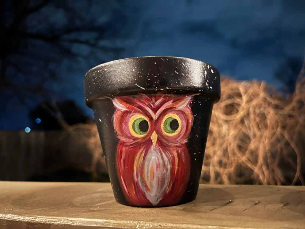 Owl Hand-painted Pot