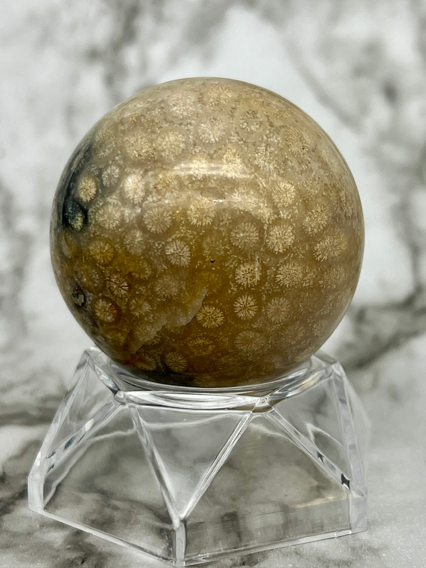 Fossilized Coral, Fossil Coral Sphere